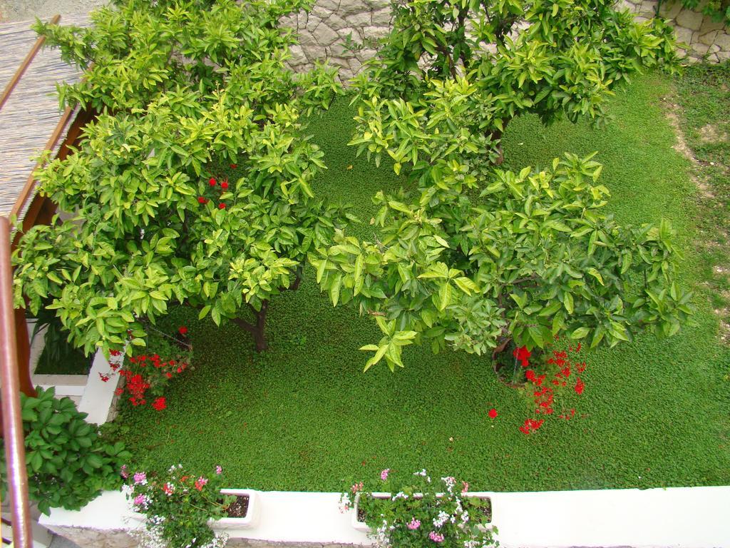 Apartments Villa Sunce Дуги-Рат Экстерьер фото